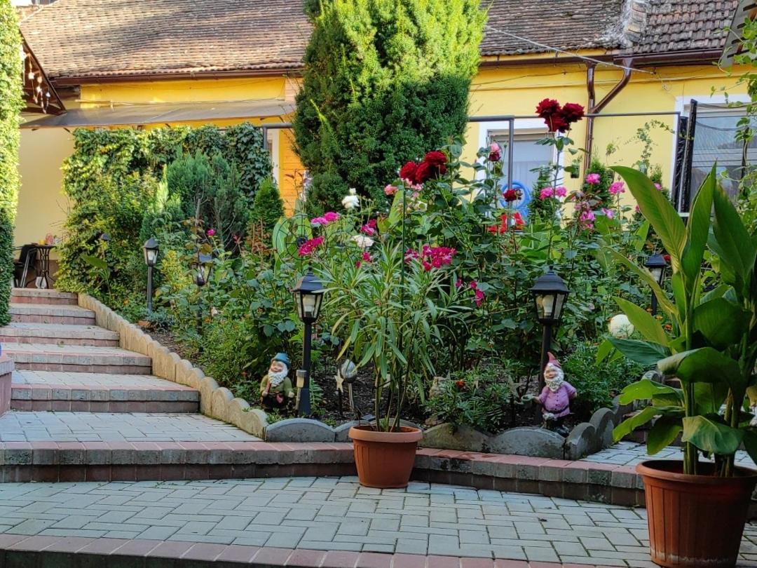 Color Home Hermannstadt 外观 照片